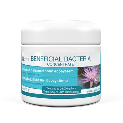 BENEFICIAL BACTERIA FOR PONDS-DRY