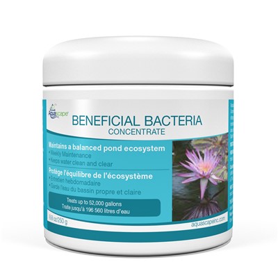 BENEFICIAL BACTERIA FOR PONDS-DRY